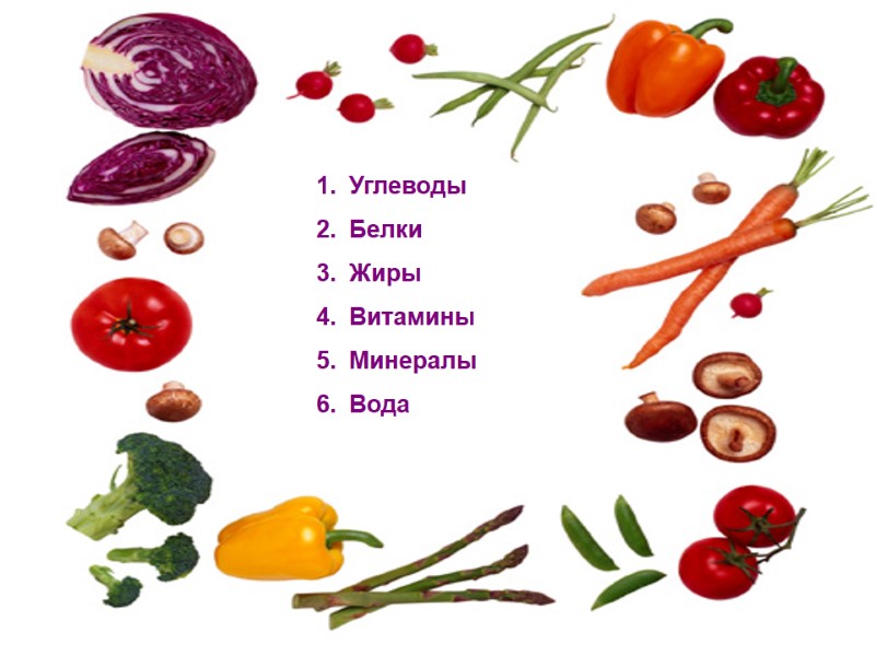 Углеводы Белки Жиры Витамины Минералы Вода